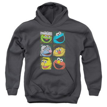 Charcoal youth hoodie for ages 8 to 12 with Sesame Street Group Squares graphic