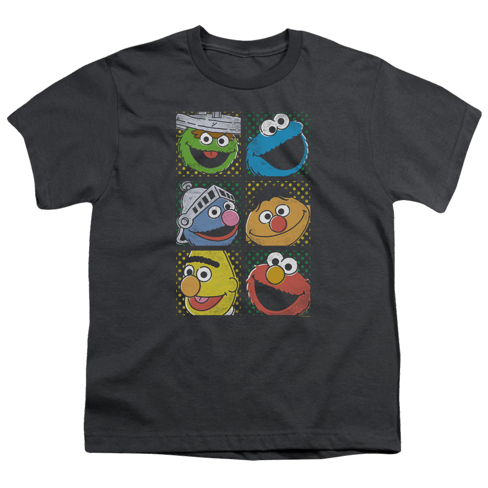 Sesame Street Group Squares - Youth T-Shirt Youth T-Shirt (Ages 8-12) Sesame Street   