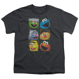 Sesame Street Group Squares - Youth T-Shirt Youth T-Shirt (Ages 8-12) Sesame Street   