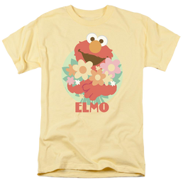 Sesame Street Flowers For You Men's Regular Fit T-Shirt Men's Regular Fit T-Shirt Sesame Street   