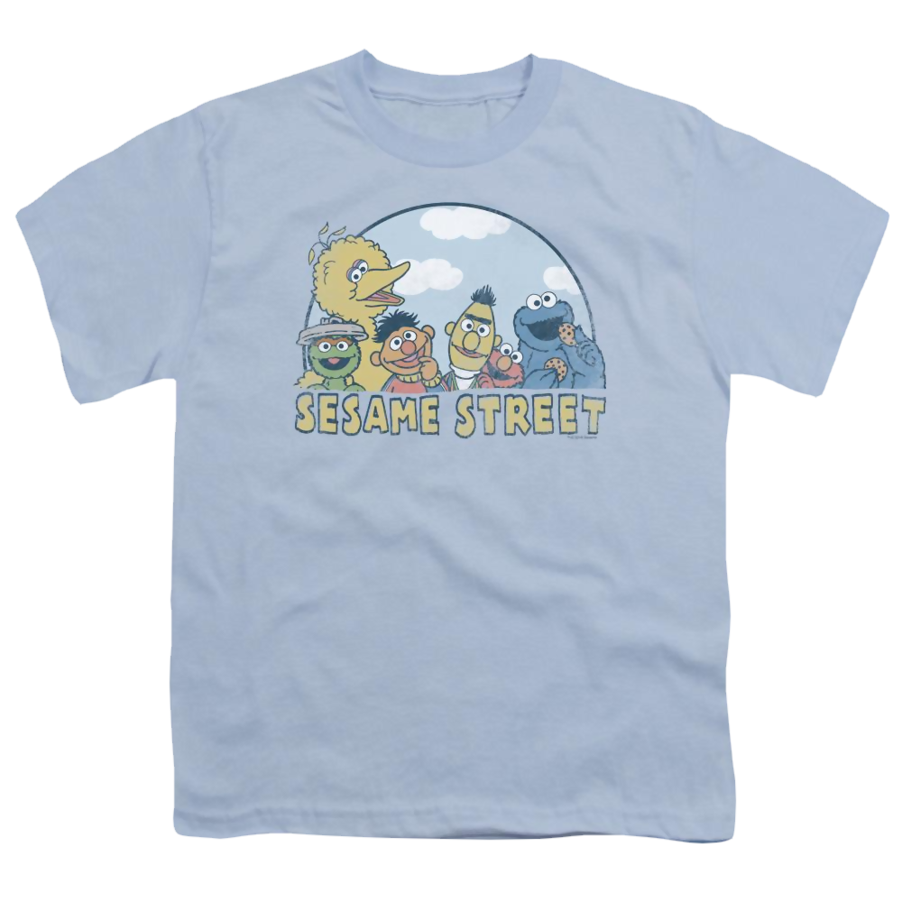 Sesame Street Sesame Group Youth T-Shirt (Ages 8-12) Youth T-Shirt (Ages 8-12) Sesame Street   