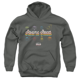 Sesame Street Made In 1969 - Youth Hoodie Youth Hoodie (Ages 8-12) Sesame Street   