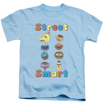 Light blue kid's t-shirt for ages 4 to 7 with Sesame Street Street Smart graphic