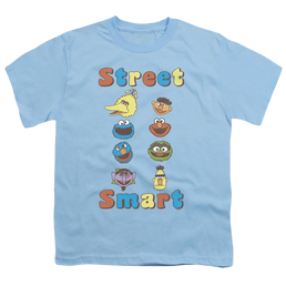 Sesame Street Street Smart - Youth T-Shirt Youth T-Shirt (Ages 8-12) Sesame Street   