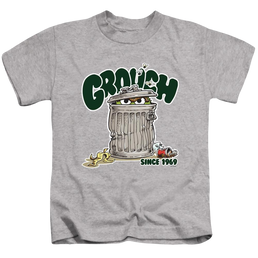 Sesame Street Grouch - Kid's T-Shirt Kid's T-Shirt (Ages 4-7) Sesame Street   