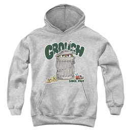 Sesame Street Grouch - Youth Hoodie Youth Hoodie (Ages 8-12) Sesame Street   