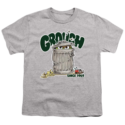 Sesame Street Grouch - Youth T-Shirt Youth T-Shirt (Ages 8-12) Sesame Street   