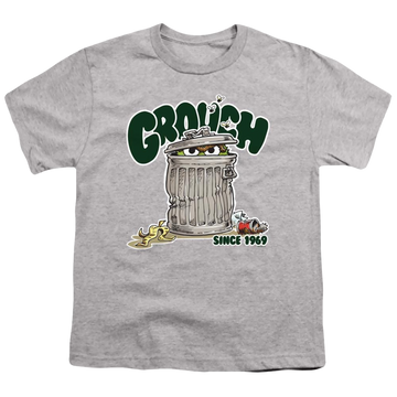 Athletic heather youth t-shirt for ages 8 to 12 with Sesame Street Grouch graphic