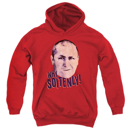 The Three Stooges Why Soitenly Youth Hoodie (Ages 8-12) Youth Hoodie (Ages 8-12) The Three Stooges   