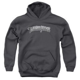 The Three Stooges Metallic Logo Youth Hoodie (Ages 8-12) Youth Hoodie (Ages 8-12) The Three Stooges   