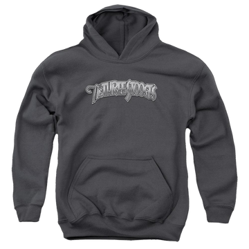 Charcoal youth hoodie for ages 8 to 12 with The Three Stooges Metallic Logo graphic