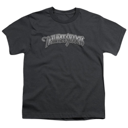 The Three Stooges Metallic Logo Youth T-Shirt (Ages 8-12) Youth T-Shirt (Ages 8-12) The Three Stooges   