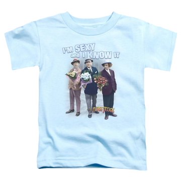 Light blue toddler t-shirt with The Three Stooges Sexy graphic