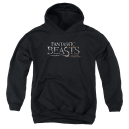 Fantastic Beasts and Where to Find Them Fantastic Beasts Logo - Youth Hoodie Youth Hoodie (Ages 8-12) Fantastic Beasts   