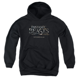Fantastic Beasts and Where to Find Them Logo - Youth Hoodie Youth Hoodie (Ages 8-12) Fantastic Beasts   