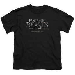 Fantastic Beasts and Where to Find Them Logo - Youth T-Shirt Youth T-Shirt (Ages 8-12) Fantastic Beasts   