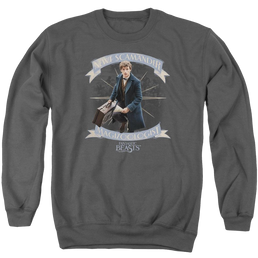 Fantastic Beasts Newt Scamander - Men's Crewneck Sweatshirt Men's Crewneck Sweatshirt Fantastic Beasts   