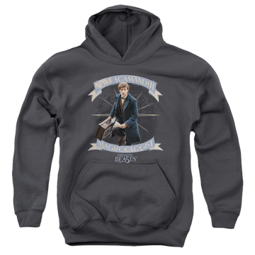 Charcoal youth hoodie for ages 8 to 12 with Fantastic Beasts and Where to Find Them Newt Scamander graphic