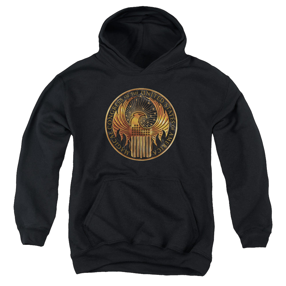 Fantastic Beasts and Where to Find Them Magical Congress - Youth Hoodie Youth Hoodie (Ages 8-12) Fantastic Beasts   