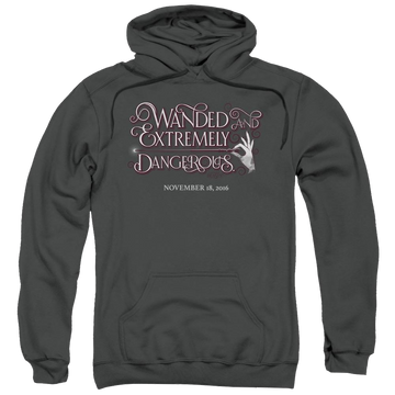 Charcoal pullover hoodie with Fantastic Beasts Wanded graphic