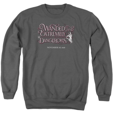 Charcoal men's crewneck sweatshirt with Fantastic Beasts Wanded graphic