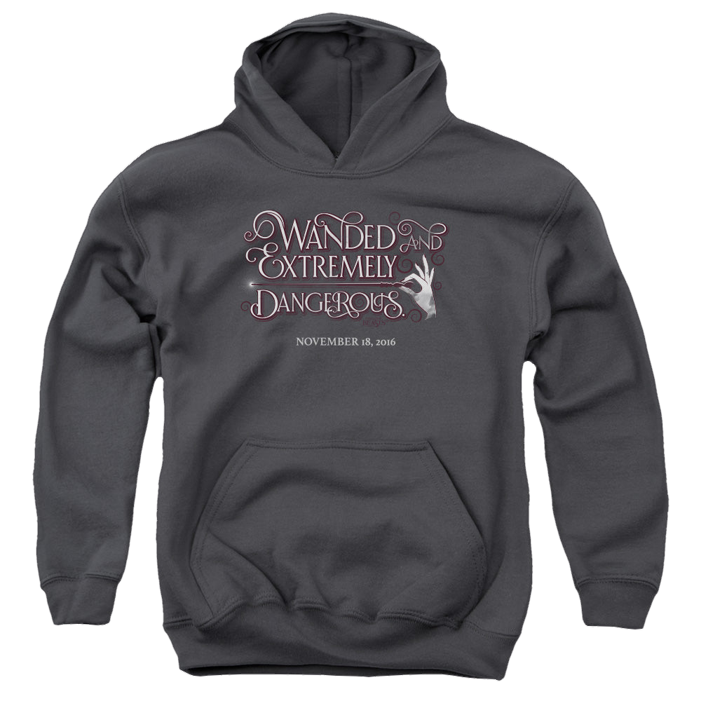 Fantastic Beasts and Where to Find Them Wanded - Youth Hoodie Youth Hoodie (Ages 8-12) Fantastic Beasts   