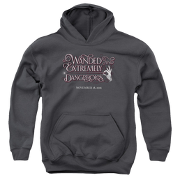 Fantastic Beasts and Where to Find Them Wanded - Youth Hoodie Youth Hoodie (Ages 8-12) Fantastic Beasts   
