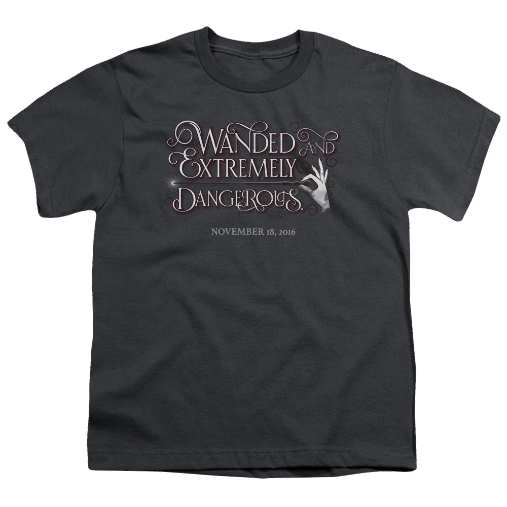 Fantastic Beasts and Where to Find Them Wanded - Youth T-Shirt Youth T-Shirt (Ages 8-12) Fantastic Beasts   