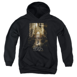 Fantastic Beasts and Where to Find Them Poster - Youth Hoodie Youth Hoodie (Ages 8-12) Fantastic Beasts   