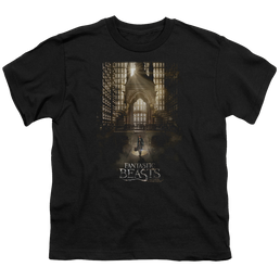 Fantastic Beasts and Where to Find Them Poster - Youth T-Shirt Youth T-Shirt (Ages 8-12) Fantastic Beasts   