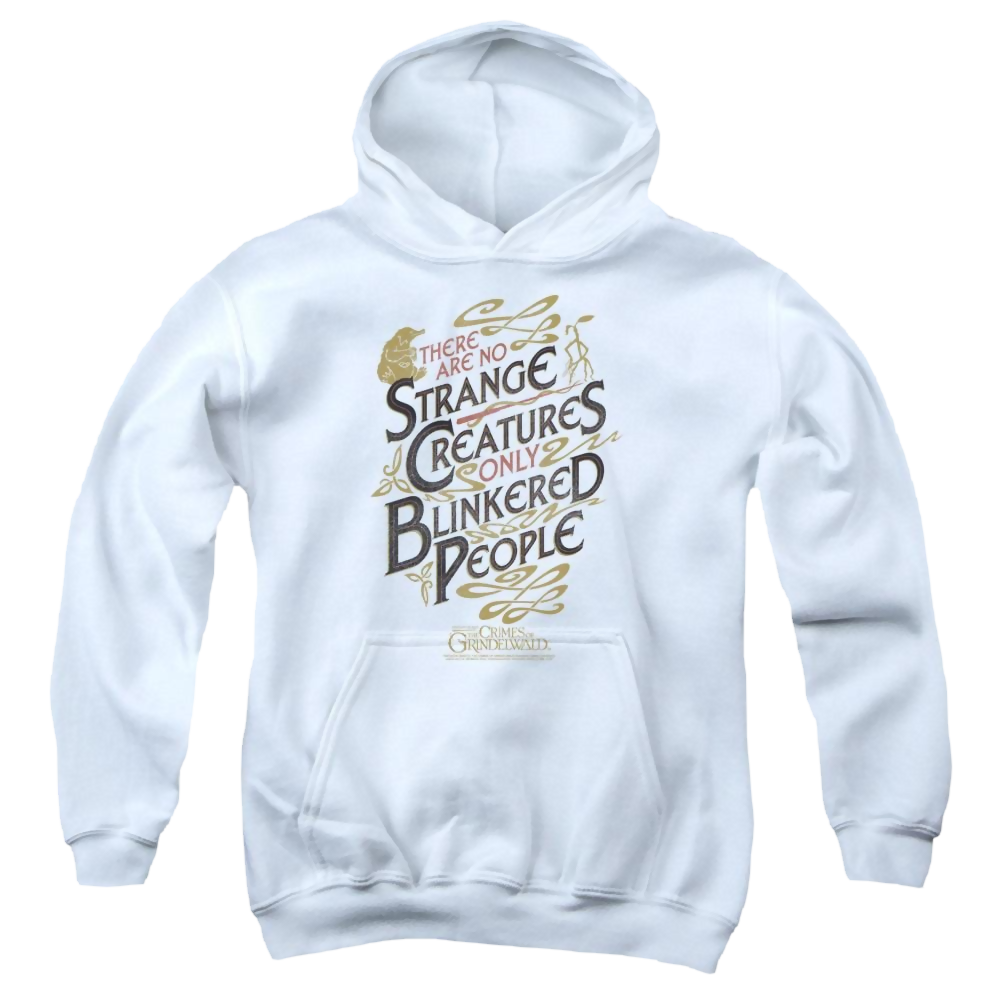 Fantastic Beasts Blinkered People - Youth Hoodie Youth Hoodie (Ages 8-12) Fantastic Beasts   