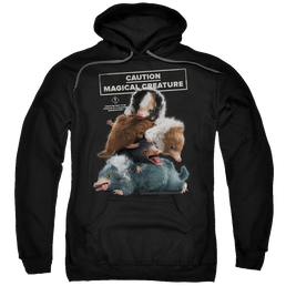 Fantastic Beasts Grindlewald Cuddle Puddle - Pullover Hoodie Pullover Hoodie Fantastic Beasts   