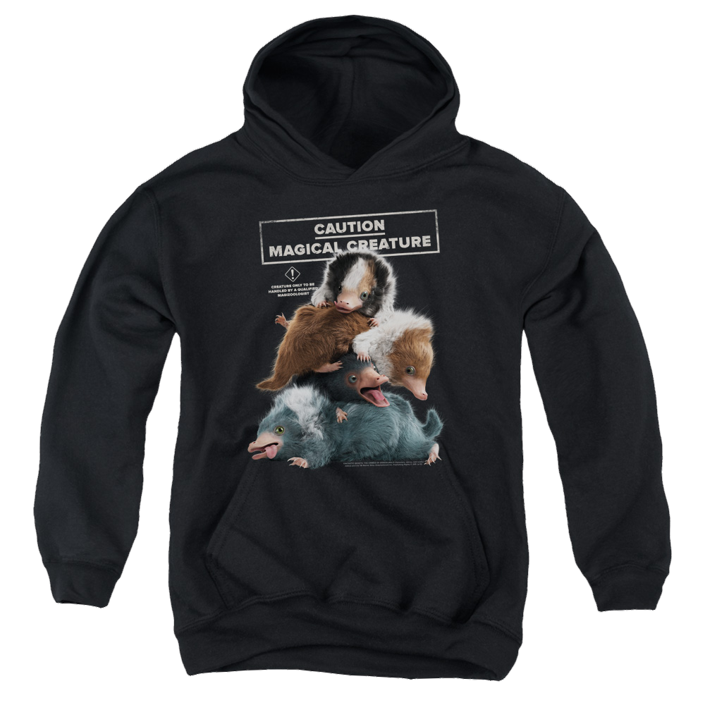 Fantastic Beasts Cuddle Puddle - Youth Hoodie Youth Hoodie (Ages 8-12) Fantastic Beasts   