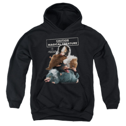 Fantastic Beasts Cuddle Puddle - Youth Hoodie Youth Hoodie (Ages 8-12) Fantastic Beasts   