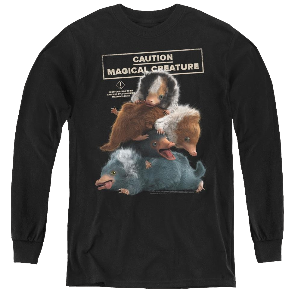 Fantastic Beasts And The Crimes Of Grindlewald Cuddle Puddle - Youth Long Sleeve T-Shirt Youth Long Sleeve T-Shirt Fantastic Beasts   