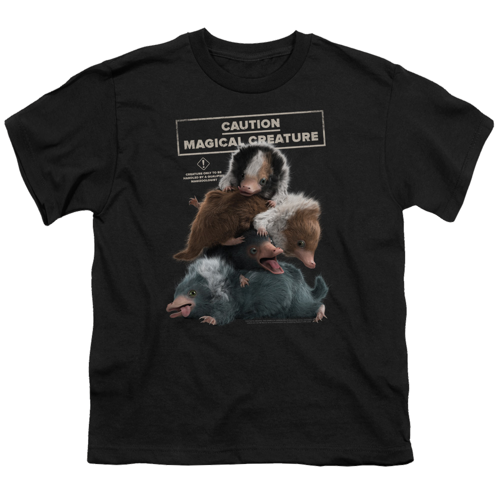 Fantastic Beasts And The Crimes Of Grindlewald Cuddle Puddle - Youth T-Shirt Youth T-Shirt (Ages 8-12) Fantastic Beasts   