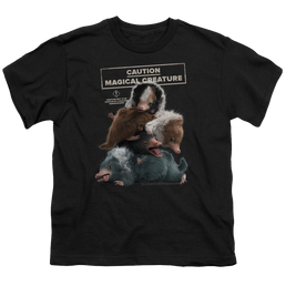 Fantastic Beasts And The Crimes Of Grindlewald Cuddle Puddle - Youth T-Shirt Youth T-Shirt (Ages 8-12) Fantastic Beasts   