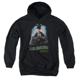 Fantastic Beasts And The Crimes Of Grindlewald Dumbledore - Youth Hoodie Youth Hoodie (Ages 8-12) Fantastic Beasts   
