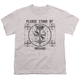Mortal Kombat Please Stand By - Youth T-Shirt Youth T-Shirt (Ages 8-12) Mortal Kombat   