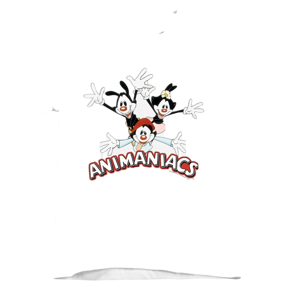 Animaniacs Animaniacs Trio - Kid's T-Shirt Kid's T-Shirt (Ages 4-7) Animaniacs   