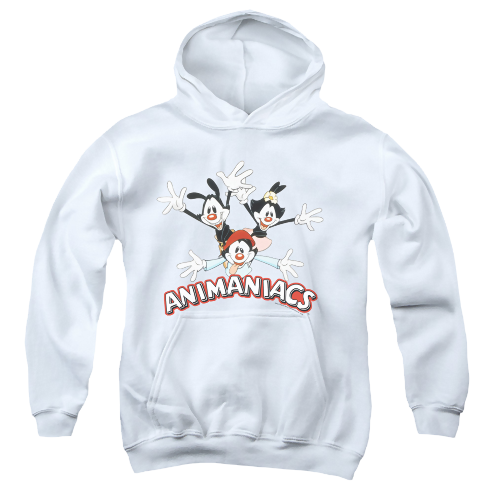 Animaniacs Animaniacs Trio - Youth Hoodie Youth Hoodie (Ages 8-12) Animaniacs   