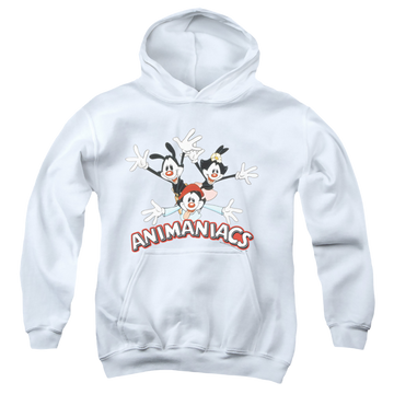 White youth hoodie for ages 8 to 12 with Animaniacs Trio graphic