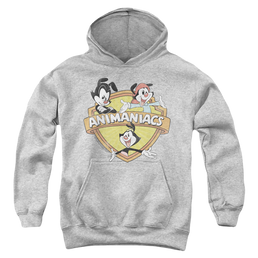 Animaniacs Shielded Animaniacs - Youth Hoodie Youth Hoodie (Ages 8-12) Animaniacs   