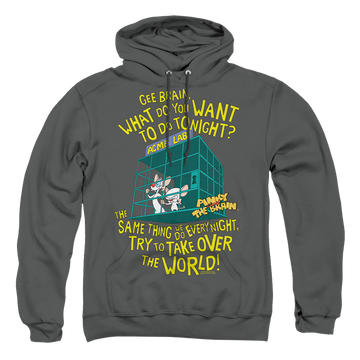 Charcoal pullover hoodie with Pinky and The Brain The World graphic