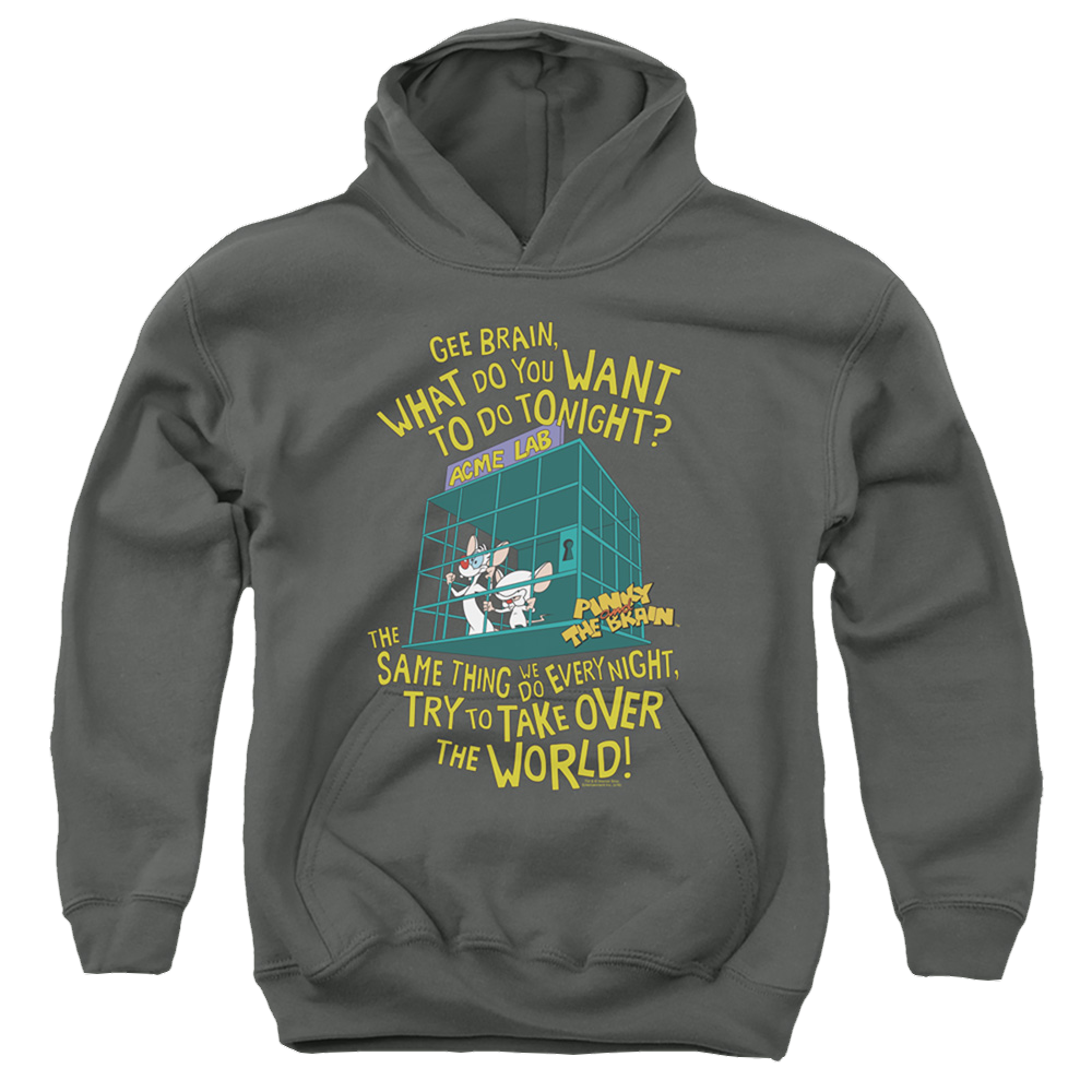Pinky And The Brain The World - Youth Hoodie Youth Hoodie (Ages 8-12) Pinky and The Brain   