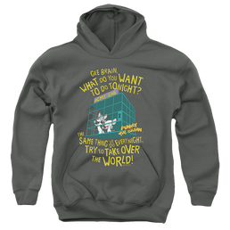 Pinky And The Brain The World - Youth Hoodie Youth Hoodie (Ages 8-12) Pinky and The Brain   