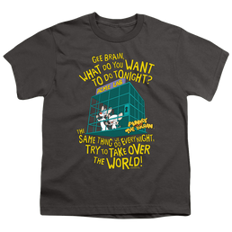 Pinky And The Brain The World - Youth T-Shirt Youth T-Shirt (Ages 8-12) Pinky and The Brain   