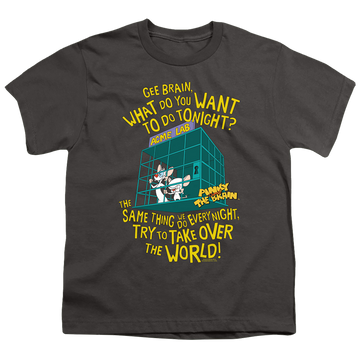 Charcoal youth t-shirt for ages 8 to 12 with Pinky and The Brain The World graphic