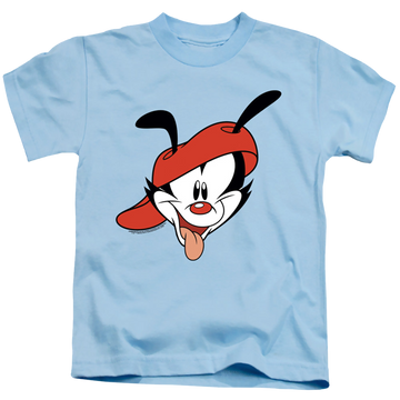 Light blue kid's t-shirt for ages 4 to 7 with Animaniacs Wakko Head graphic