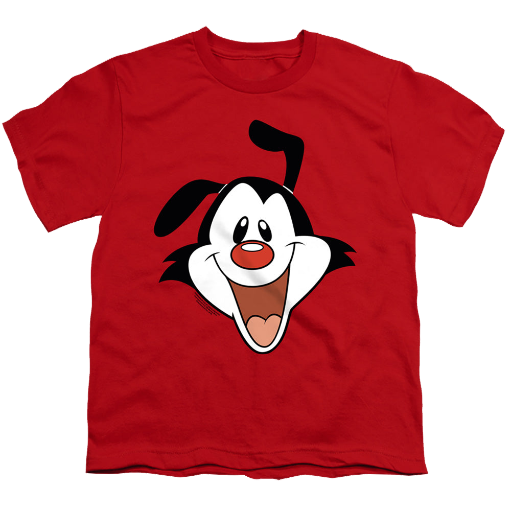 Animaniacs Yakko Head - Youth T-Shirt Youth T-Shirt (Ages 8-12) Animaniacs   